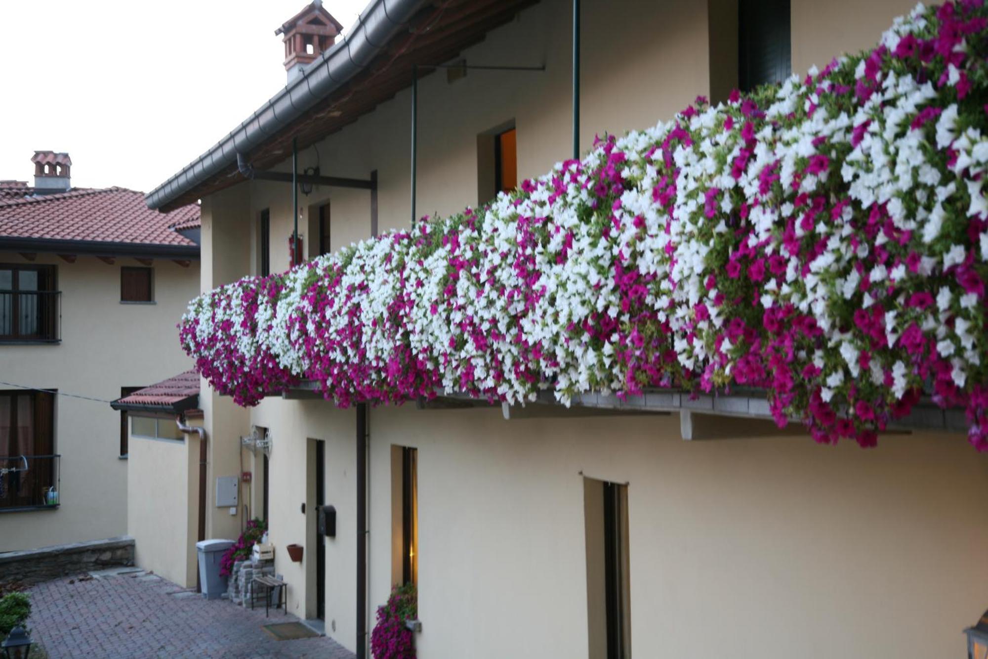 Locanda Dell'Oca Bianca Como Eksteriør billede